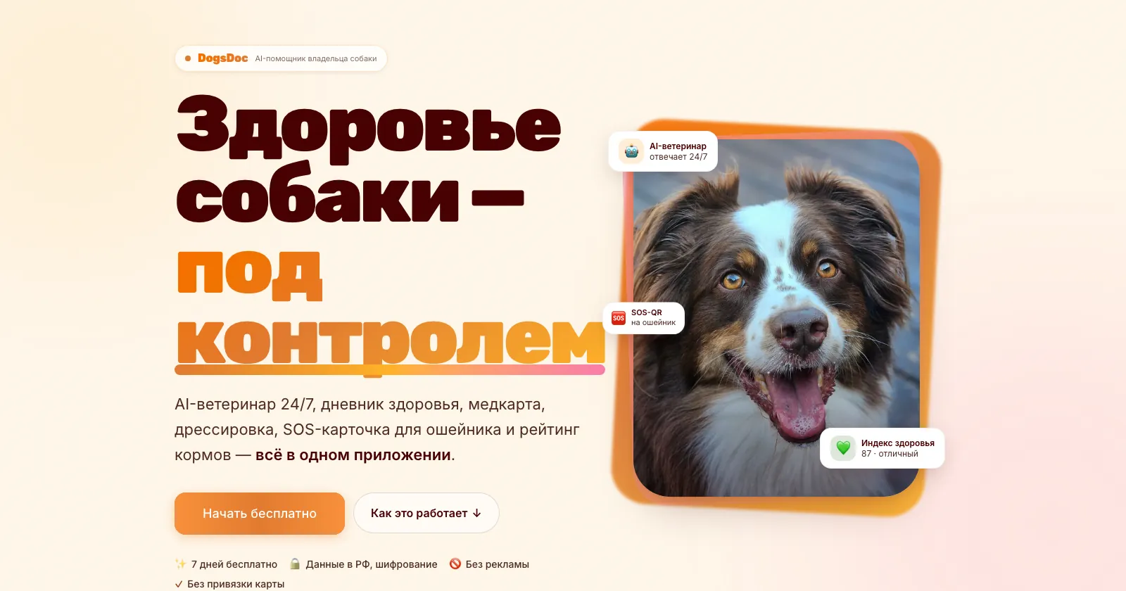Главная страница DogDoc